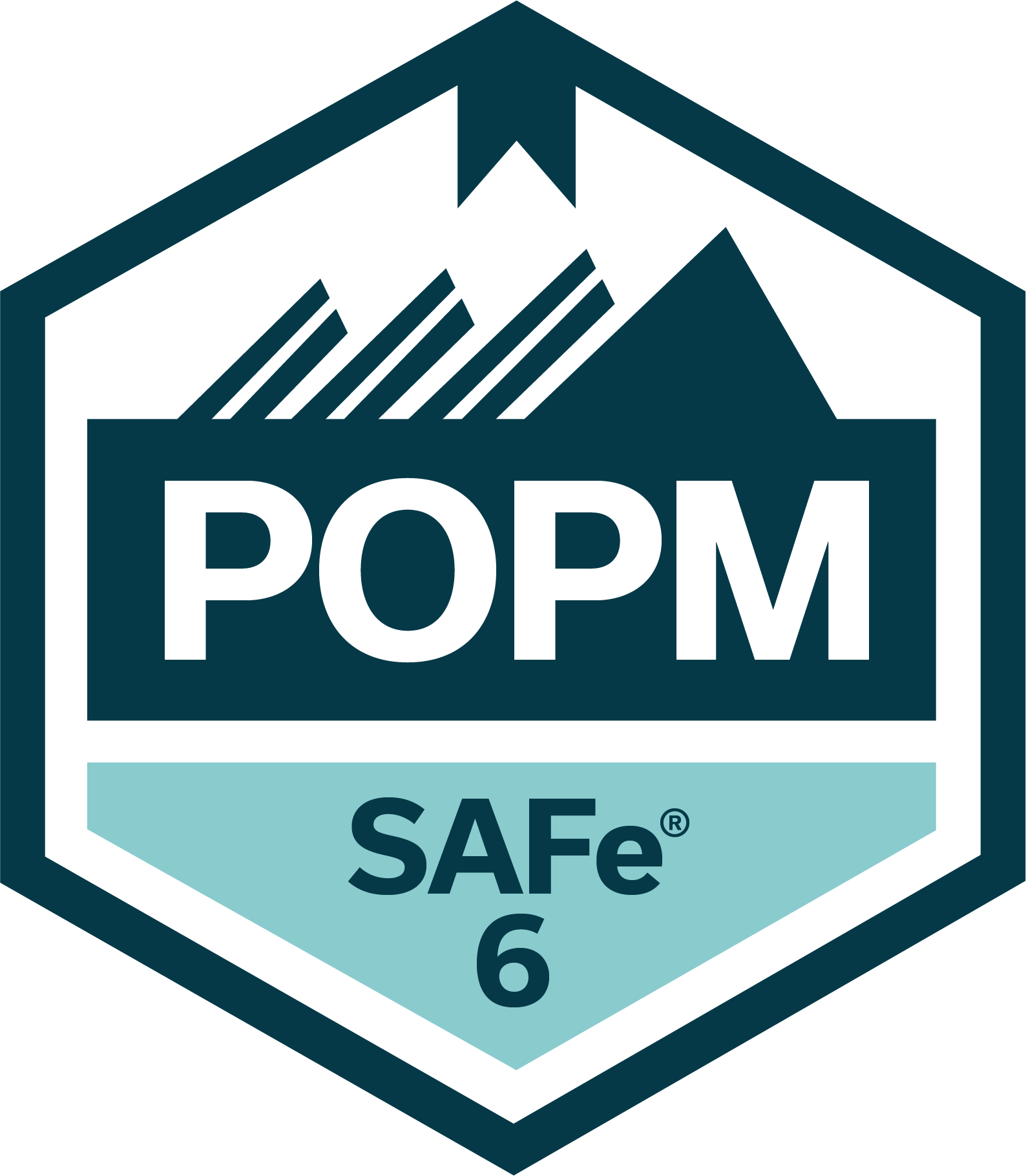 Certified SAFe 6 Product Owner / Product Manager Badge